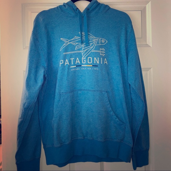 light blue patagonia hoodie